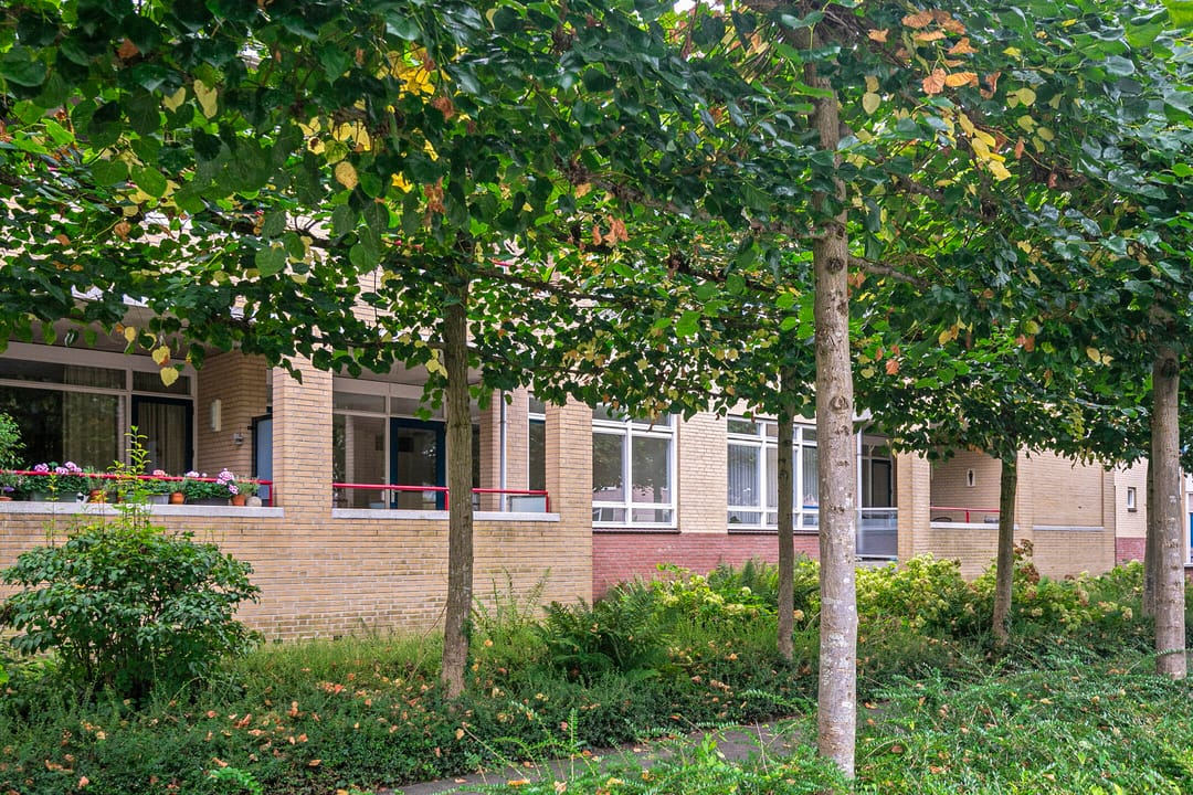 Photo 28 of Dorpsveld 31