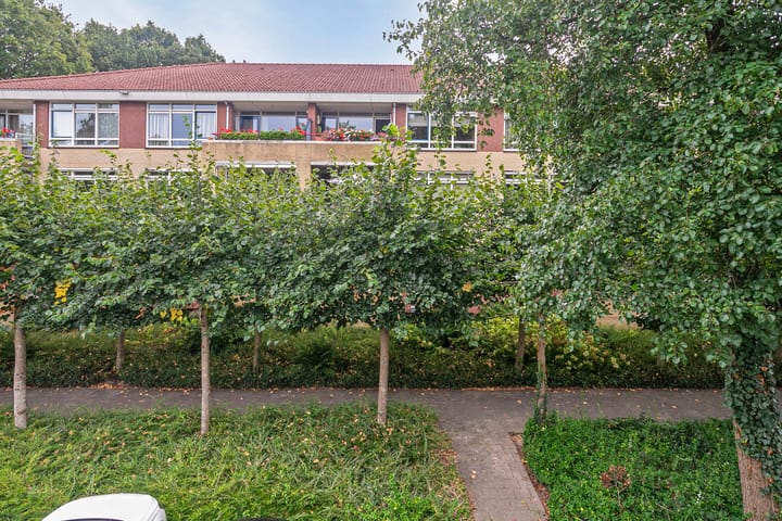 Foto 29 van Dorpsveld 31