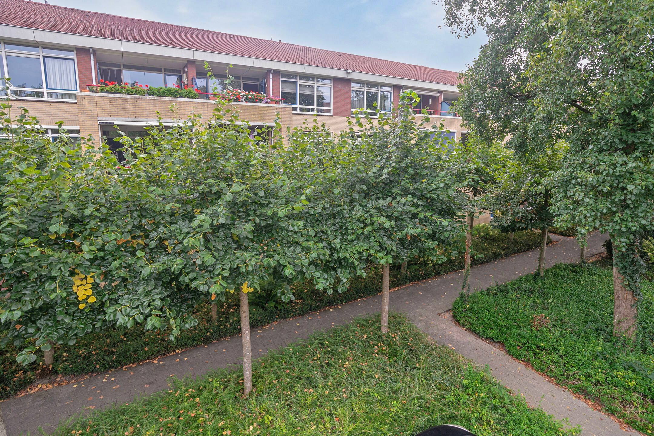 Photo 30 of Dorpsveld 31