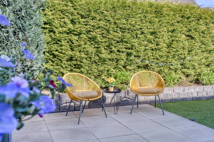 Foto 29 van Paulus Potterstraat 30