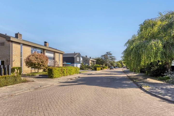 Foto 34 van Paulus Potterstraat 30