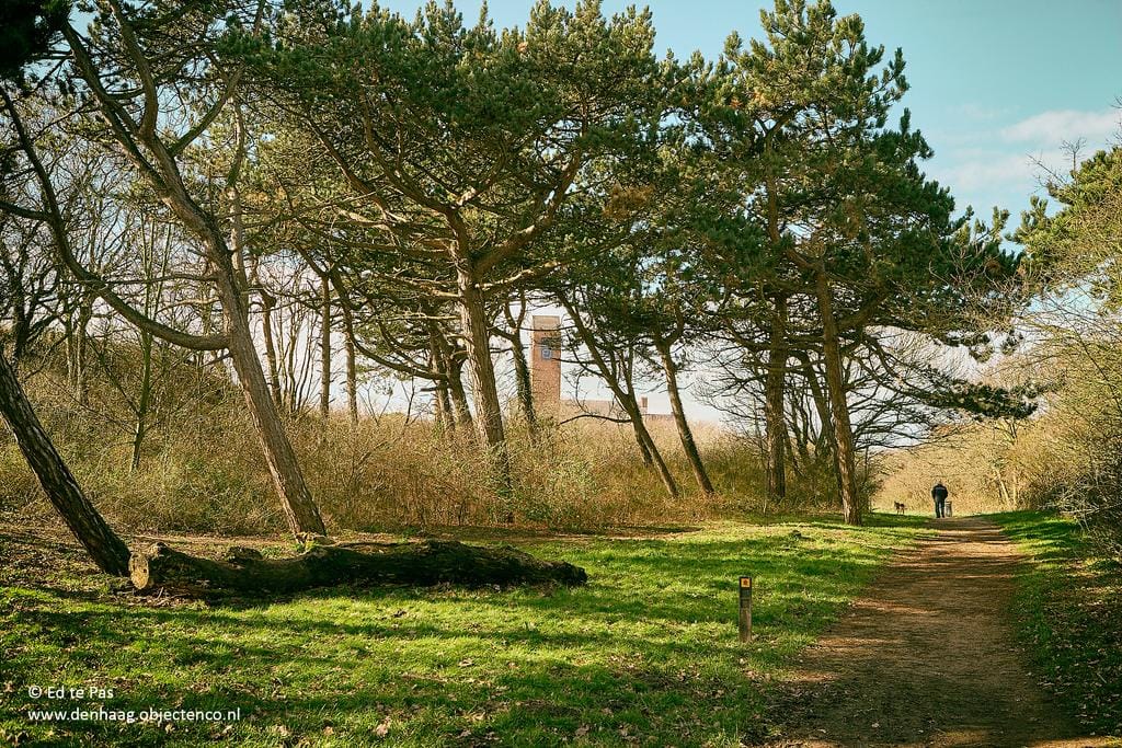 Foto 39 van Koekoeklaan 7