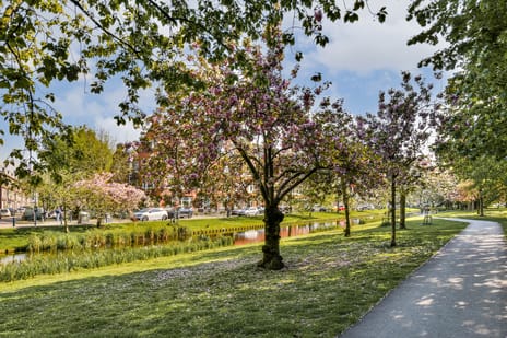 Boreelstraat 8-B tertiary image