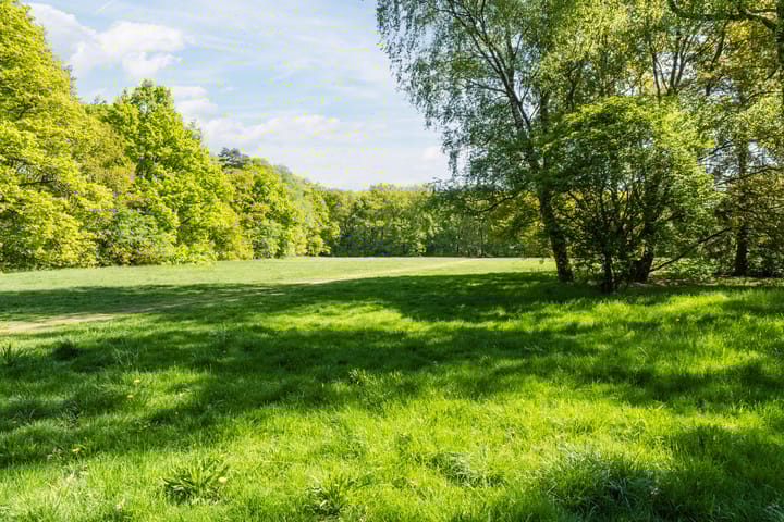 Foto 60 van Merellaan 5