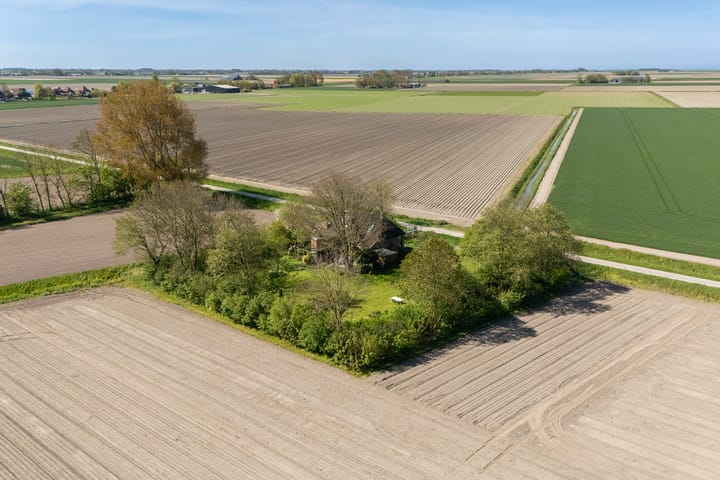 Foto 38 van Nieuwebildtzijl F 30