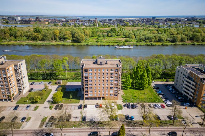 Foto 2 van Hermelijnvlinder 179