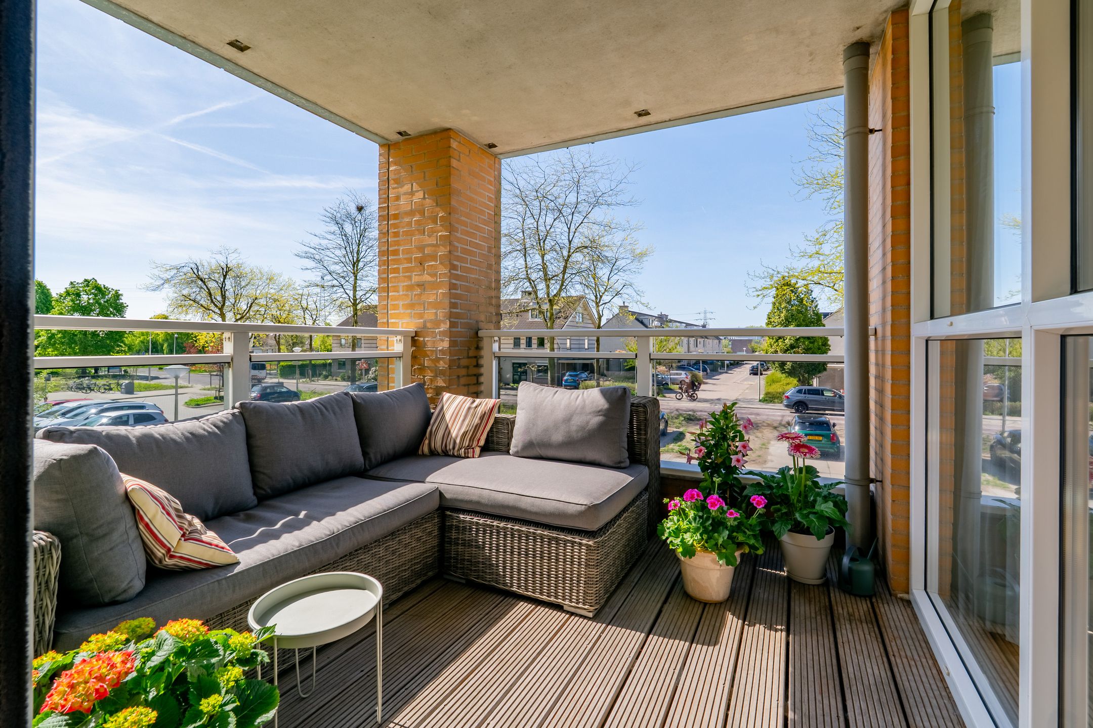 Foto 3 van Hermelijnvlinder 179