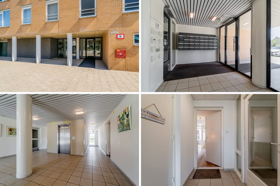 Foto 31 van Hermelijnvlinder 179