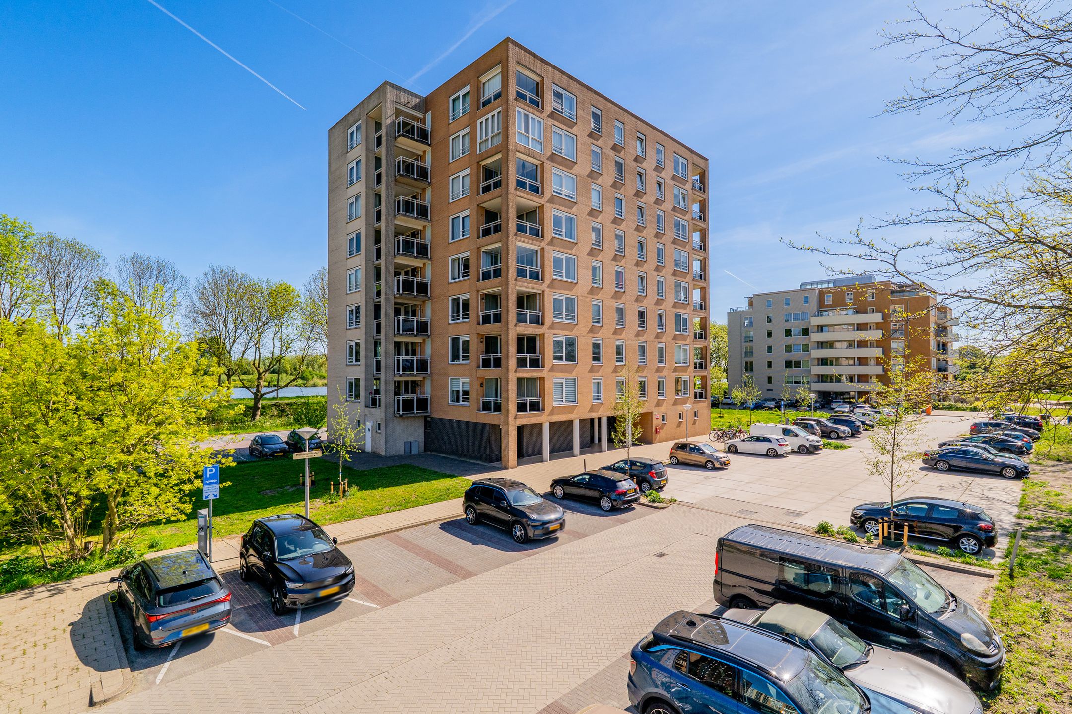 Foto 33 van Hermelijnvlinder 179