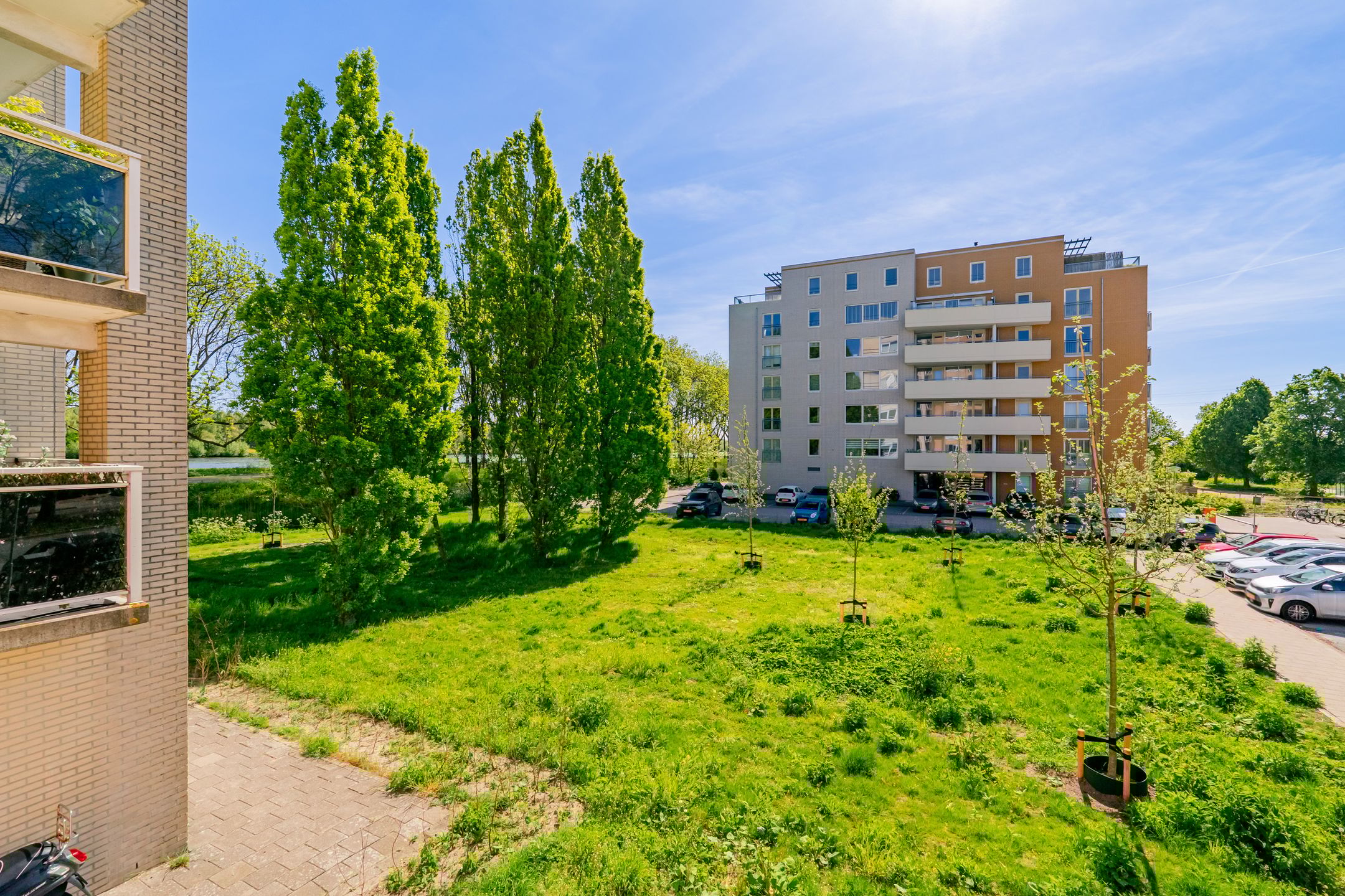 Foto 36 van Hermelijnvlinder 179