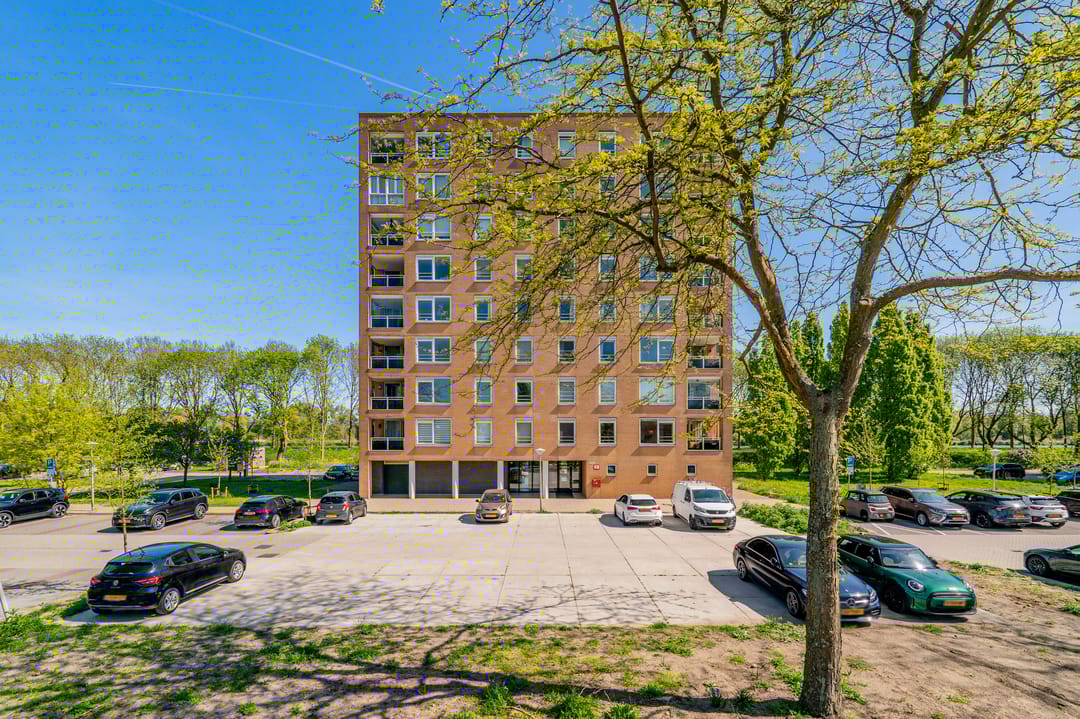 Foto 37 van Hermelijnvlinder 179