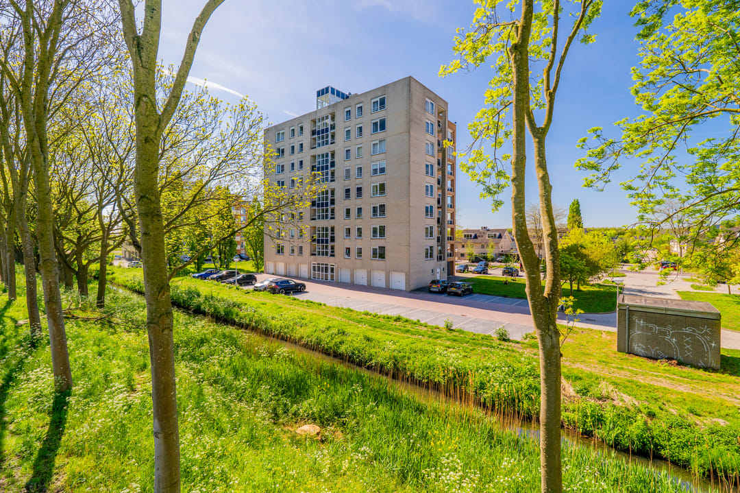 Foto 38 van Hermelijnvlinder 179