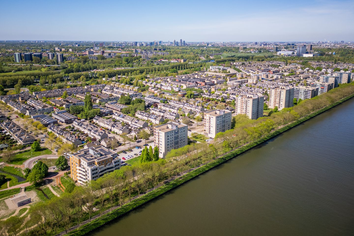 Foto 40 van Hermelijnvlinder 179