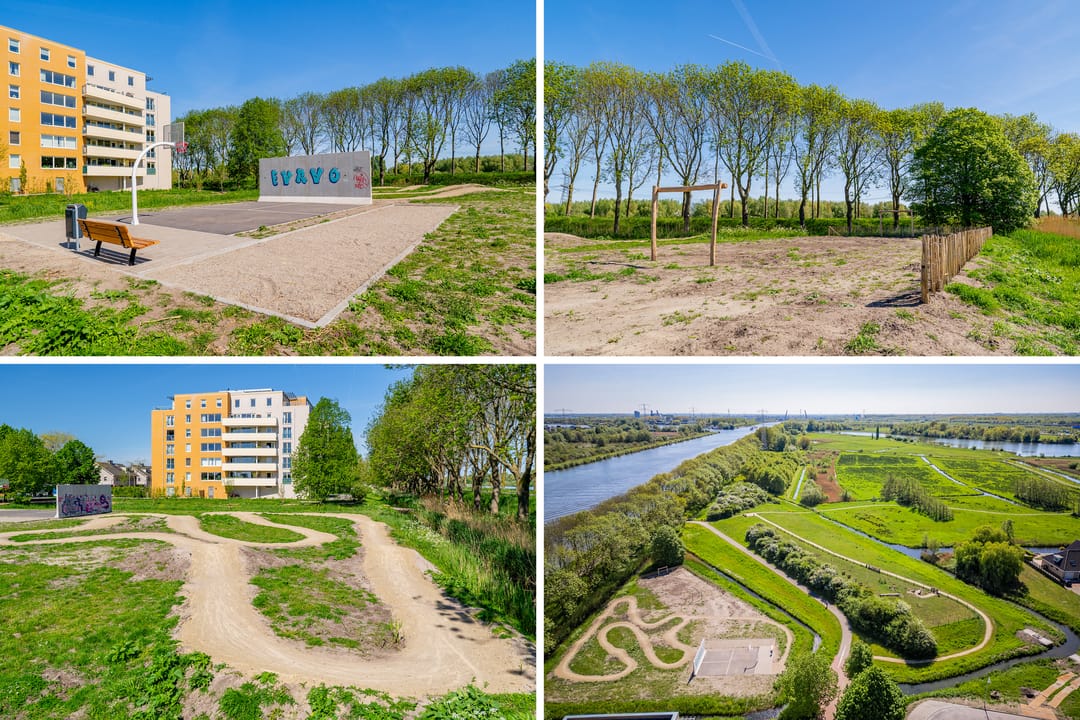 Foto 41 van Hermelijnvlinder 179