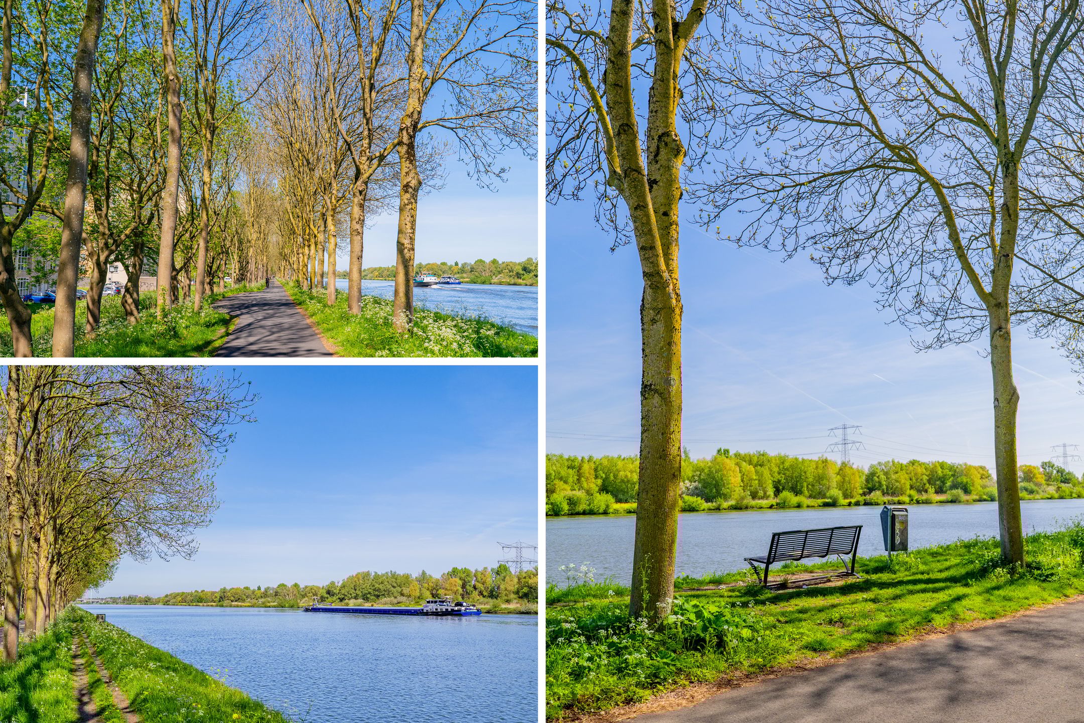 Foto 42 van Hermelijnvlinder 179