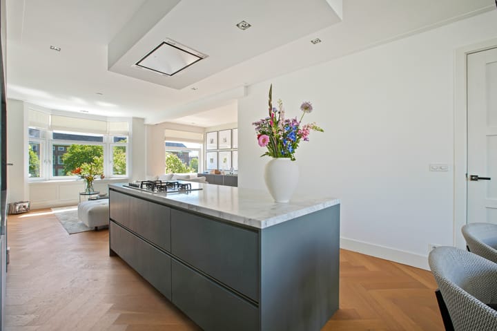 Foto 8 van Rooseveltlaan 230-3