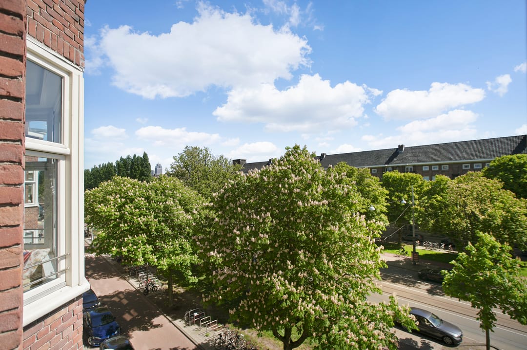 Foto 22 van Rooseveltlaan 230-3