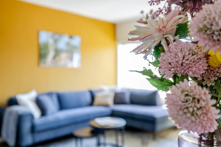 Foto 12 van Nieuwstraat 45-D