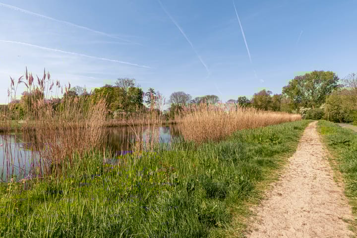 Foto 41 van Briljantstraat 430