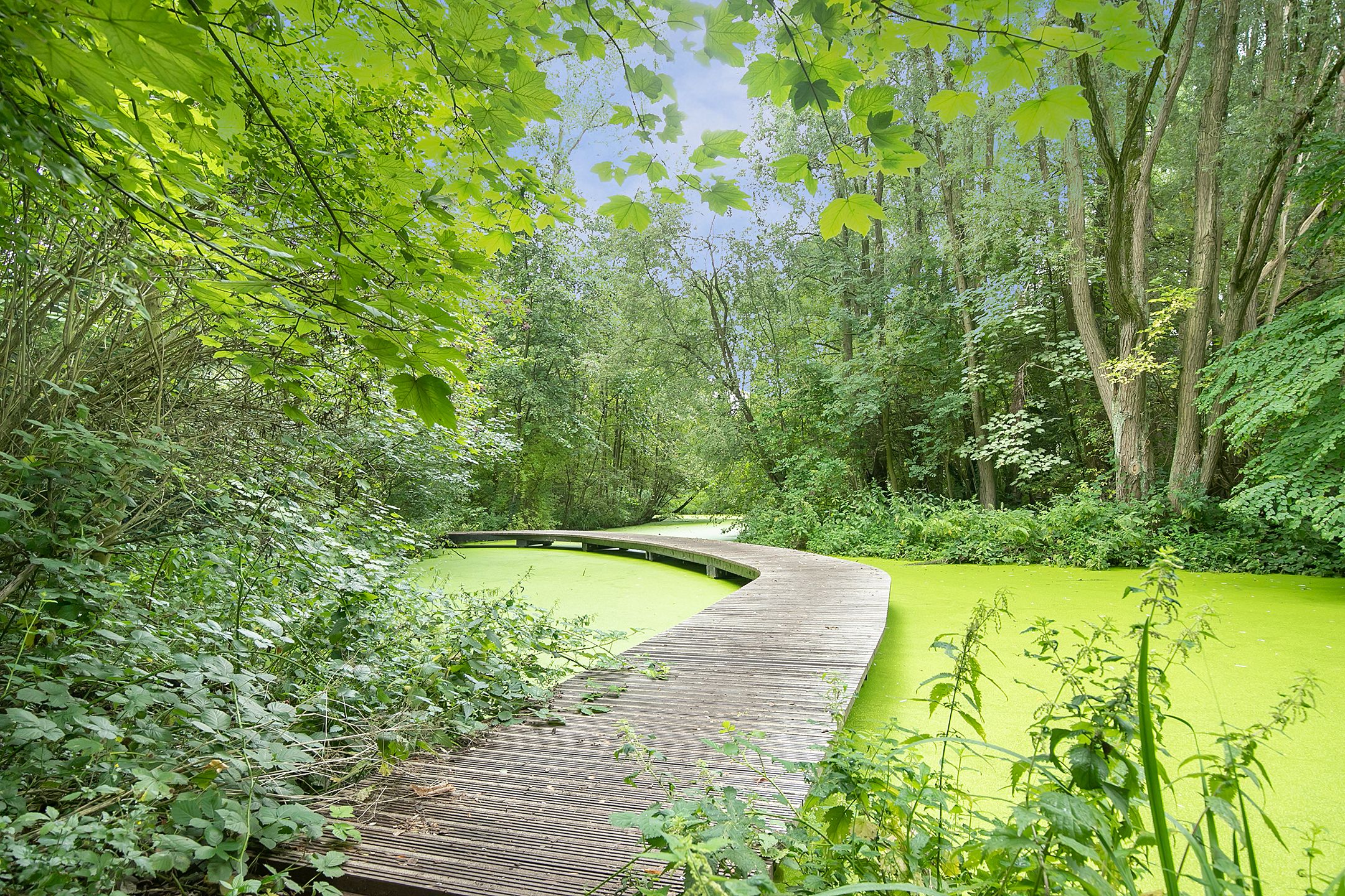 Photo 6 of Kleiweg 197