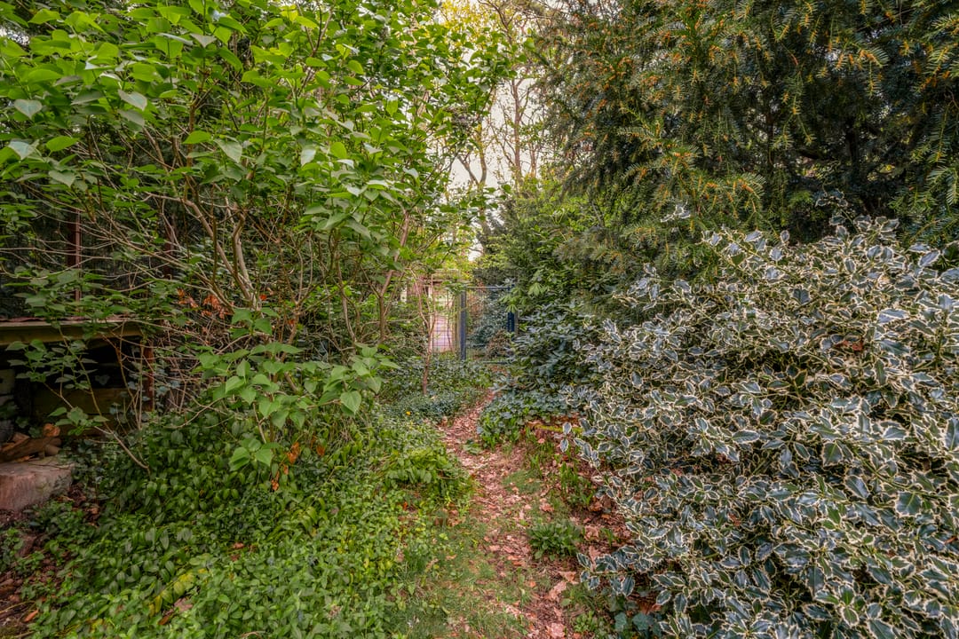 Foto 31 van Julianalaan 233