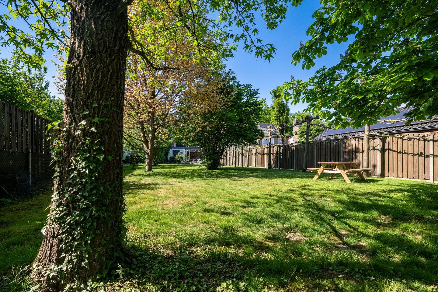 Foto 25 van Reeweg 87