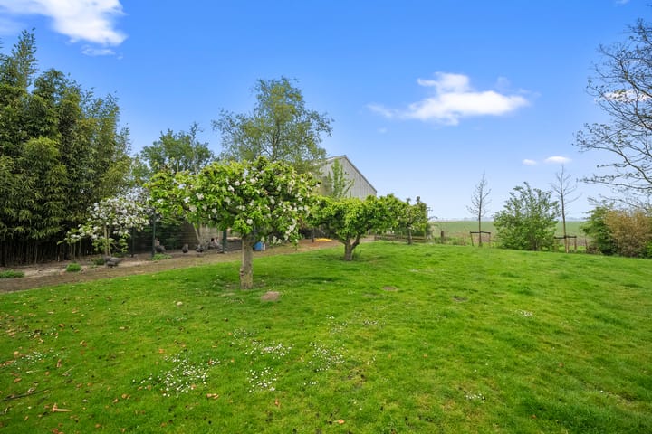 Foto 38 van Walingsweg 7