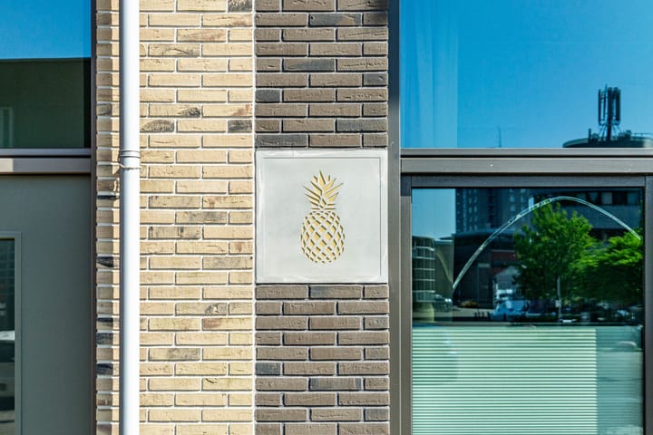 Foto 43 van Ananasweg 46