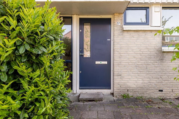 Foto 16 van Bruinvispad 37