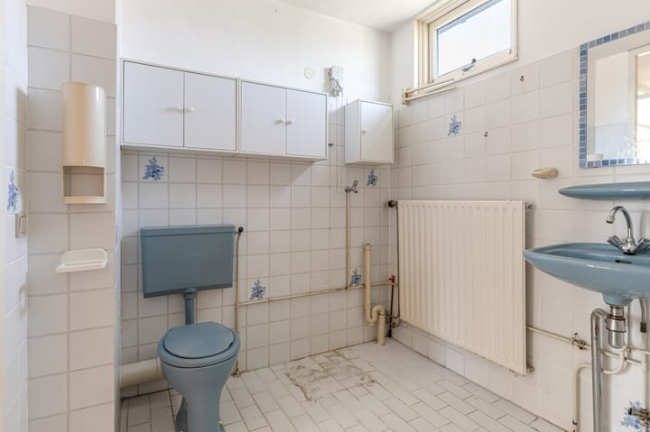 Foto 28 van Bruinvispad 37