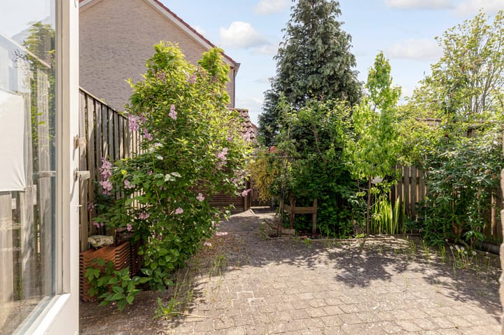 Foto 37 van Bruinvispad 37