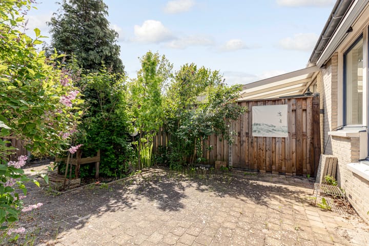 Foto 38 van Bruinvispad 37