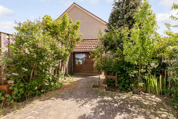 Foto 40 van Bruinvispad 37