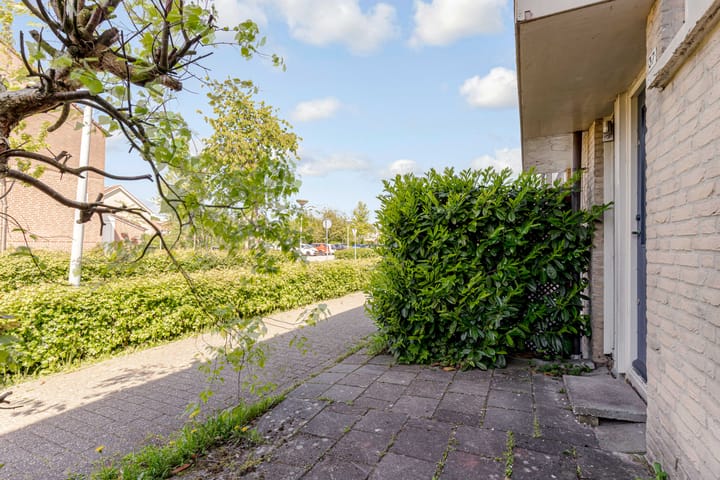 Foto 47 van Bruinvispad 37