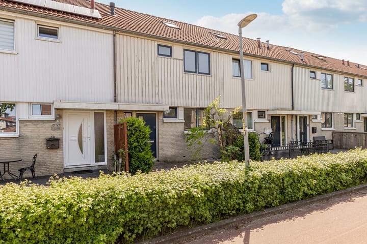 Foto 49 van Bruinvispad 37