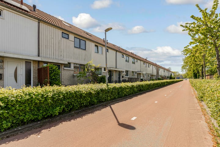 Foto 50 van Bruinvispad 37