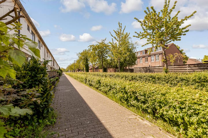 Foto 51 van Bruinvispad 37