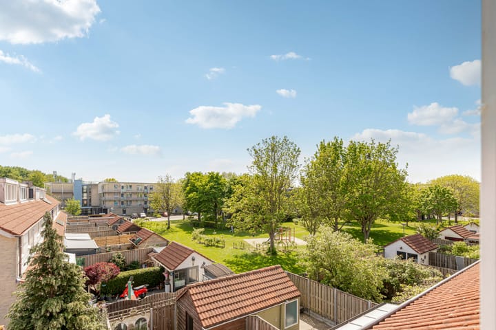 Foto 52 van Bruinvispad 37