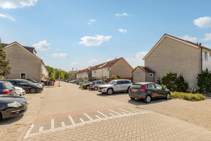 Foto 53 van Bruinvispad 37