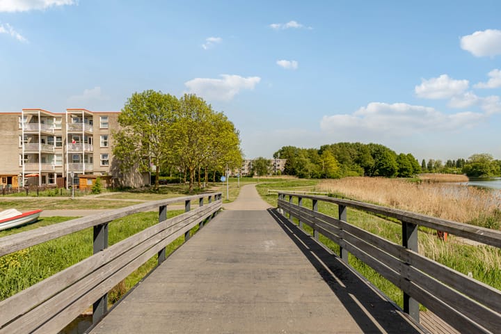 Foto 58 van Bruinvispad 37