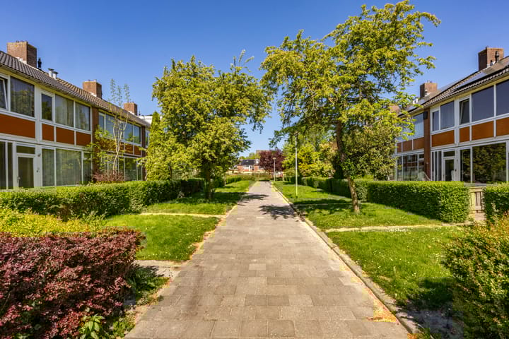 Foto 6 van Mispellaan 11