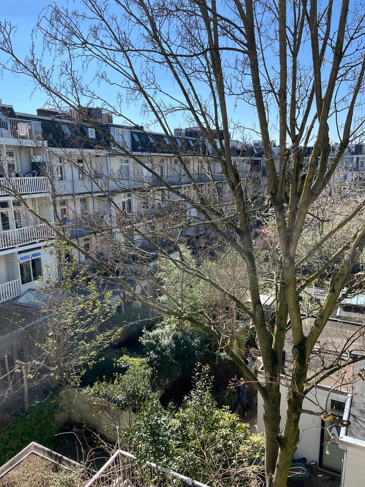 Foto 13 van Groen van Prinstererstraat 52-3