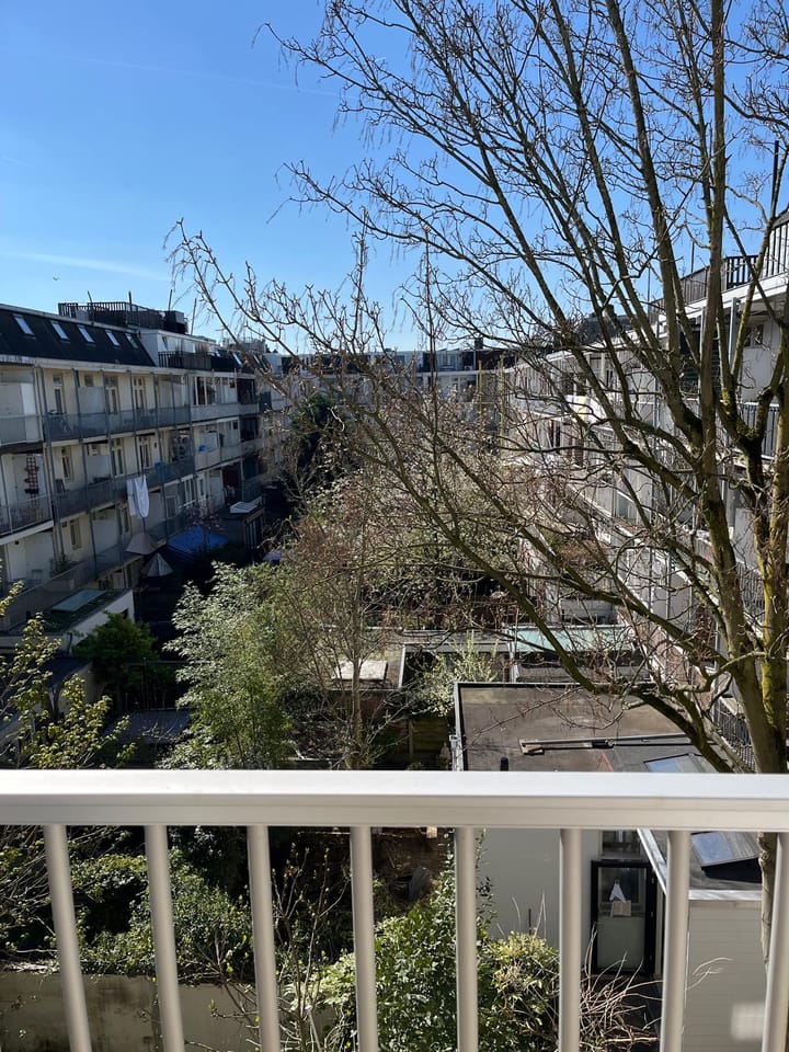 Foto 14 van Groen van Prinstererstraat 52-3