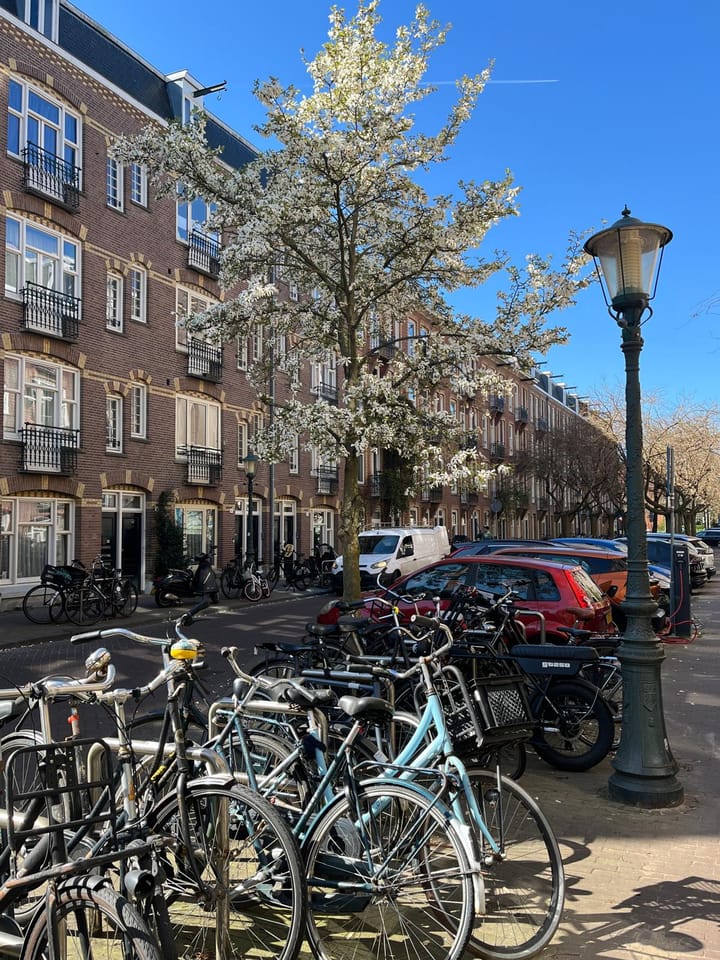 Foto 28 van Groen van Prinstererstraat 52-3