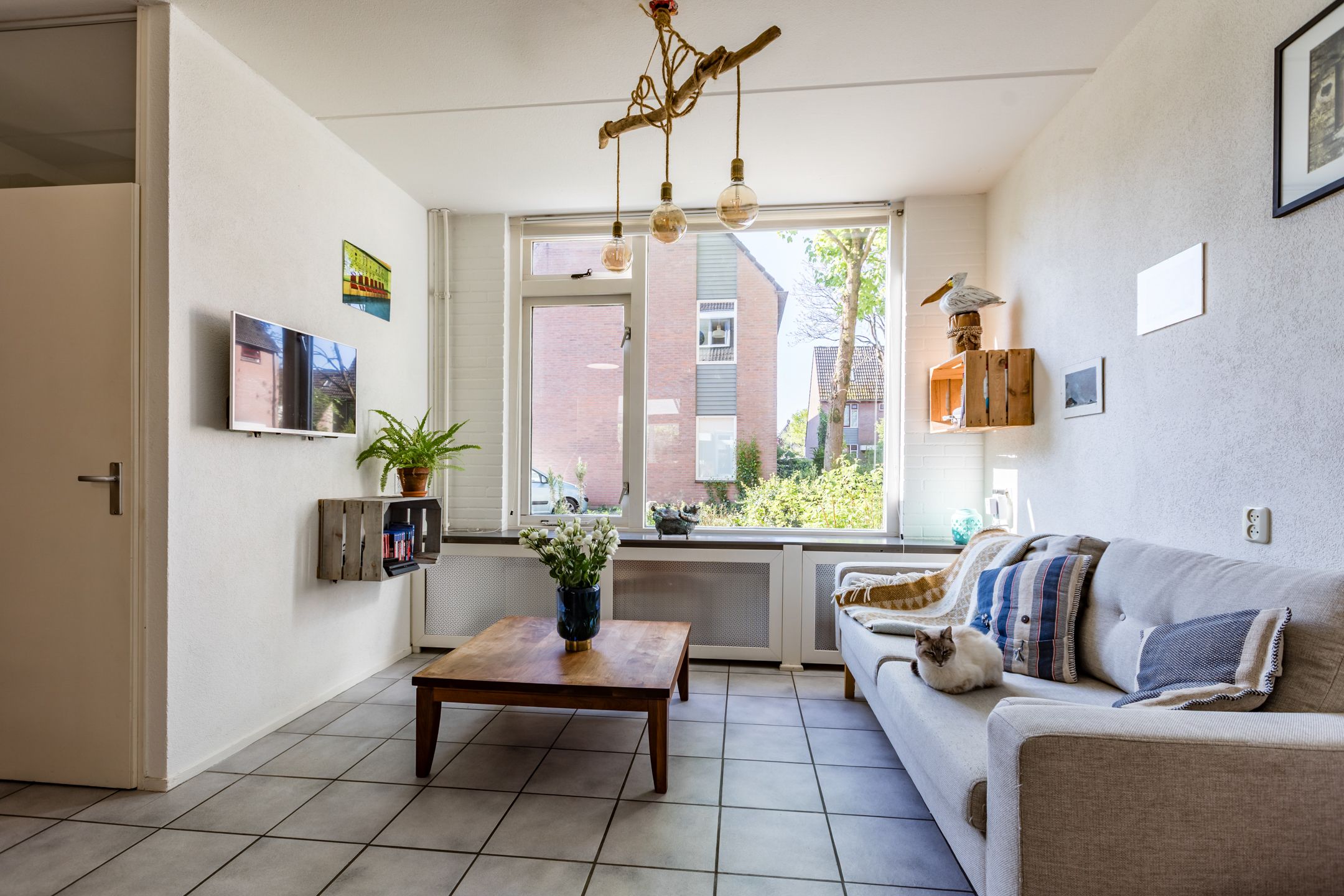 Photo 6 of Hazekamp 19