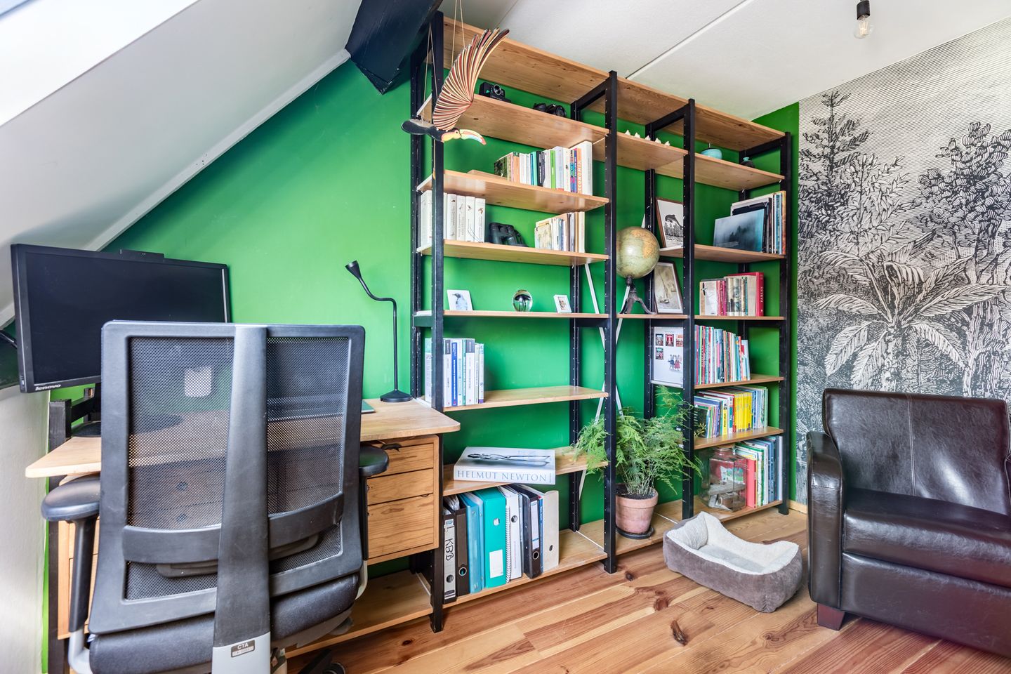 Photo 19 of Hazekamp 19