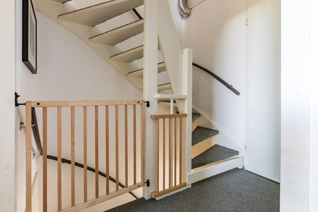 Photo 22 of Hazekamp 19