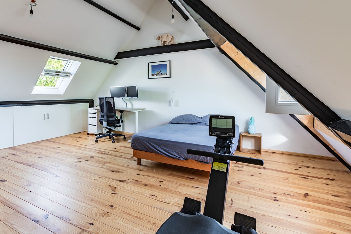 Photo 25 of Hazekamp 19