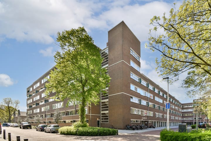 Foto 1 van Raaphorst 101