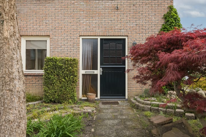 Photo 4 of van Bodelswingstraat 8